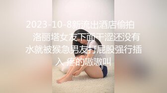 雀儿满天飞 0809 20200211