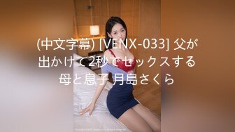 (中文字幕) [VENX-033] 父が出かけて2秒でセックスする母と息子 月島さくら