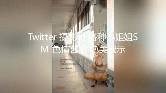 Twitter 摄影师 各种小姐姐SM 色情艺术 绝美展示