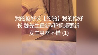 我的枪好长【约啪】我的枪好长 魏先生最新VIP视频更新 女主身材不错 (1)