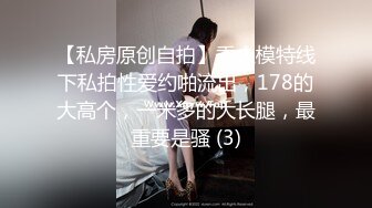 【私房原创自拍】秀人模特线下私拍性爱约啪流出，178的大高个，一米多的大长腿，最重要是骚 (3)