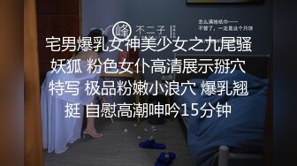 宅男爆乳女神美少女之九尾骚妖狐 粉色女仆高清展示掰穴特写 极品粉嫩小浪穴 爆乳翘挺 自慰高潮呻吟15分钟