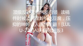 国产AV 乐播传媒 LB011 午夜迷情 与画中人的缠绵悱恻