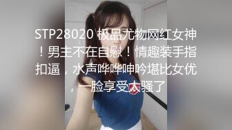 我的女神我追了2年