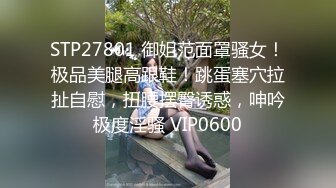 魔劍公主的性感騷姿 2