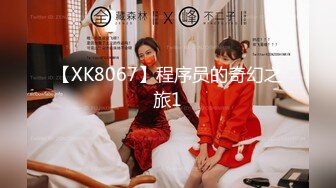 【XK8067】程序员的奇幻之旅1