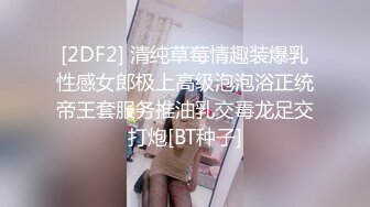 钛合金TiTi NO.059 女仆小玉