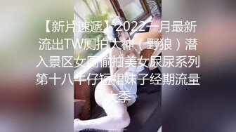 【新片速遞】2022一月最新流出TW厕拍大神（野狼）潜入景区女厕偷拍美女尿尿系列第十八牛仔短裙妹子经期流量大季