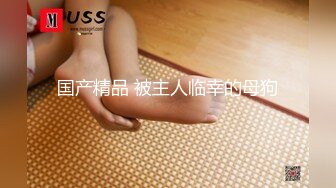 麻豆傳媒 MDSJ0005 性犯罪者牢房 滴蠟調教極惡女犯 艾秋