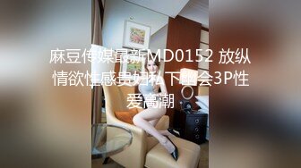 麻豆传媒最新MD0152 放纵情欲性感贵妇私下幽会3P性爱高潮