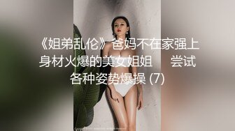 年前双飞，女仆装安排