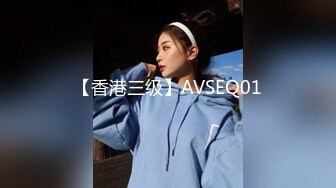 【香港三级】AVSEQ01