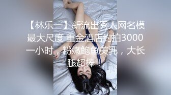 【林乐一】新流出秀人网名模最大尺度 重金酒店约拍3000一小时，粉嫩鲍鱼美乳，大长腿超棒！