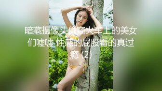 暗藏摄像头偷窥火车上的美女们嘘嘘 性感的屁股看的真过瘾 (2)