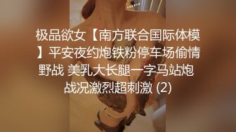 极品欲女【南方联合国际体模】平安夜约炮铁粉停车场偷情野战 美乳大长腿一字马站炮 战况激烈超刺激 (2)