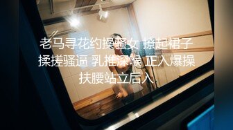 老马寻花约操骚女 撩起裙子揉搓骚逼 乳推深喉 正入爆操扶腰站立后入