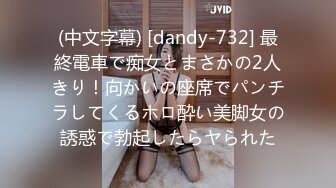 (中文字幕) [dandy-732] 最終電車で痴女とまさかの2人きり！向かいの座席でパンチラしてくるホロ酔い美脚女の誘惑で勃起したらヤられた