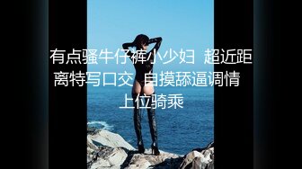 百度云破解流出视图某传媒公司模特王X菲和男友不雅视频流出人肉酸奶