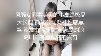 风骚女同事美美的小高跟极品大长腿 撕破公司女神性感黑丝 沙发上强插女神 满屋的浪荡叫声有点莫名的兴奋