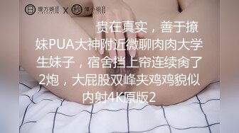 巨乳原味红色情趣内衣