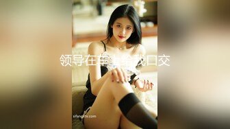 2024年新作秀人网名模私拍【章芃芃】九头身大美女 空姐 揉奶 揉逼 自慰棒自慰，5000定制