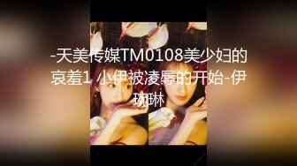 -天美传媒TM0108美少妇的哀羞1 小伊被凌辱的开始-伊琬琳