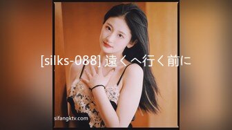 [silks-088] 遠くへ行く前に