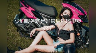 气质女友黑丝大长腿，完美露脸口交，吮吸粉红龟头