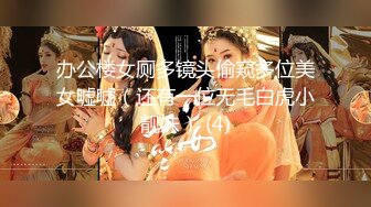 办公楼女厕多镜头偷窥多位美女嘘嘘（还有一位无毛白虎小靓妹） (4)