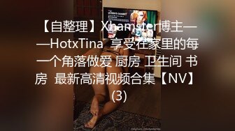 情趣丝袜的诱惑4K