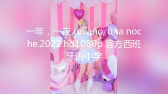 一年，一夜 un año, una noche.2022.hd1080p.官方西班牙语中字