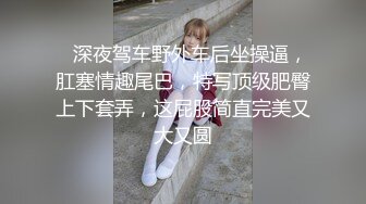    深夜驾车野外车后坐操逼，肛塞情趣尾巴，特写顶级肥臀上下套弄，这屁股简直完美又大又圆