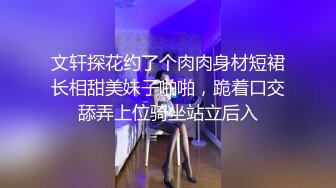 文轩探花约了个肉肉身材短裙长相甜美妹子啪啪，跪着口交舔弄上位骑坐站立后入