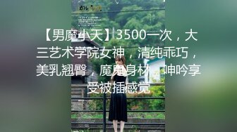 《极品反差淫妻私拍》模特身材一字马极品娇妻【性爱猫】订阅，各种黄色剧情大片，户外群P乱伦勾引，都是高质量值得欣赏 (3)