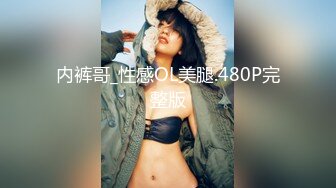 内裤哥_性感OL美腿.480P完整版