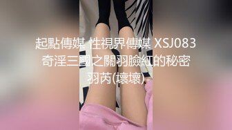 起點傳媒 性視界傳媒 XSJ083 奇淫三國之關羽臉紅的秘密 羽芮(壞壞)