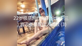 22岁极品网红 福利合集（三）海边美景配佳人调教 (3)