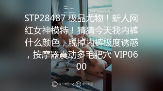 STP20236 花臂纹身金发妹子和胖子中年大叔啪啪，上位骑坐抬腿猛操体型对比，边操旁边还有个妹子在观战揉