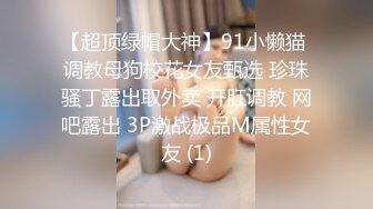 【超顶绿帽大神】91小懒猫 调教母狗校花女友甄选 珍珠骚丁露出取外卖 开肛调教 网吧露出 3P激战极品M属性女友 (1)