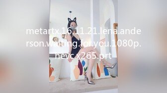 metartx.16.11.21.lena.anderson.waiting.for.you.1080p.hevc.x265.prt