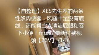 【自整理】XES先生养的两条性奴肉便器，风骚十足没有底线，还能帮主人清洁屁眼和吞下小便！mrxes 最新付费视频【26V】 (14)