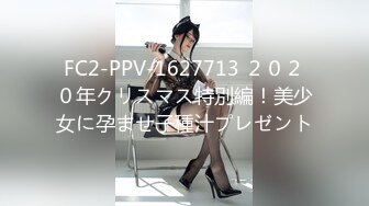 FC2-PPV-1627713 ２０２０年クリスマス特別編！美少女に孕ませ子種汁プレゼント