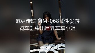 麻豆传媒 MM-068《性爱游览车》中出巨乳车掌小姐