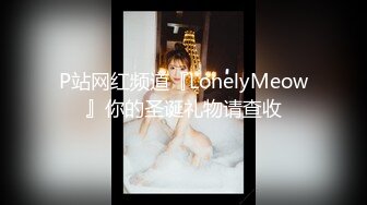 P站网红频道『LonelyMeow』你的圣诞礼物请查收