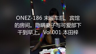 ONEZ-186 末班车后、宾馆的房间。隐瞒妻子与可爱部下干到早上。Vol.001 本田梓