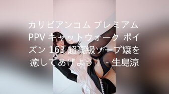 カリビアンコム プレミアム PPV キャットウォーク ポイズン 163 超高級ソープ嬢を癒してあげよう！ - 生島涼