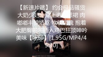 《惊艳网红私拍》露脸才是王道！万狼求购Onlyfans极品大奶顶级身材封面女神PimP私拍~洗澡紫薇打炮~有钱人的玩物