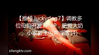 【推特 luckydog7】调教多位母狗开发3P 4P，肥臀大奶、小家碧玉叫声淫荡 (4)