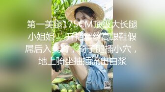 第一美腿175CM顶级大长腿小姐姐 ，开档黑丝高跟鞋假屌后入美臀，椅子腿插小穴，地上骑坐抽插流出白浆