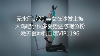 431V全新视觉盛宴頂✨2